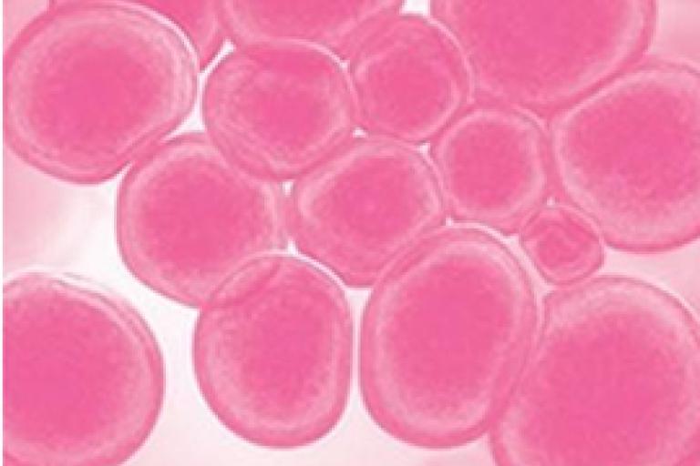 Scansione di molecole