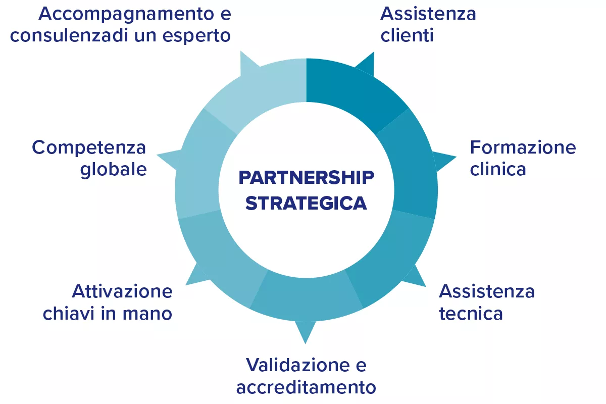Grafico di un cerchio diviso in sezioni con punti allineati a termini chiave