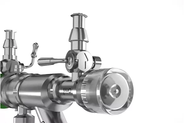 Immagine 5Fr Seal su sfondo bianco