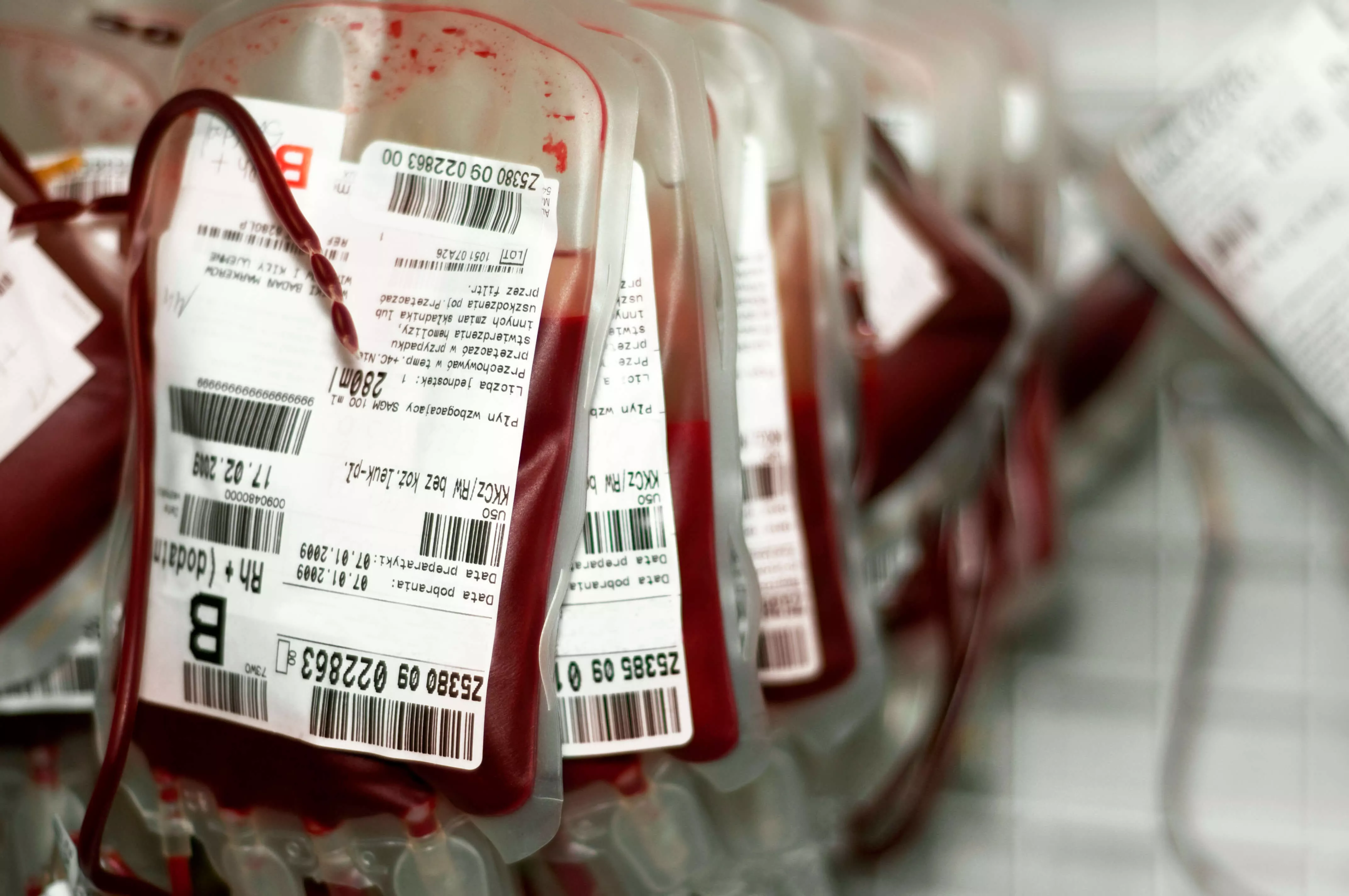 Immagine di sacche ematiche o contenitori per il sangue