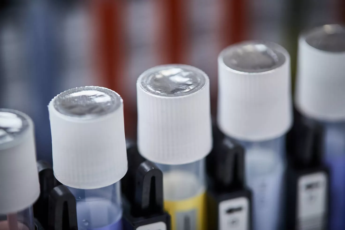 Foto di provette in un vassoio